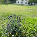 La Casina Di Sandro Maison d'hôtes