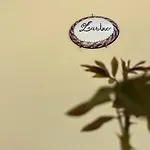 La Casina Di Sandro 3*