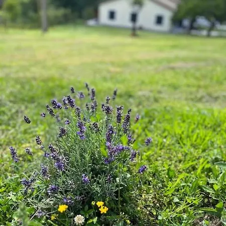 La Casina Di Sandro Gasthuis