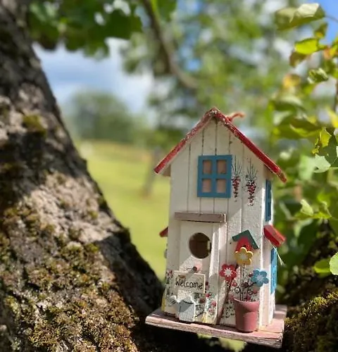 招待所 La Casina Di Sandro 3*