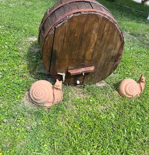 招待所 La Casina Di Sandro