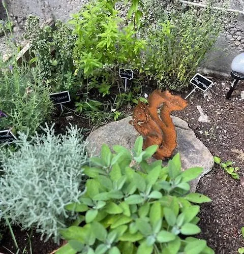 La Casina Di Sandro 招待所